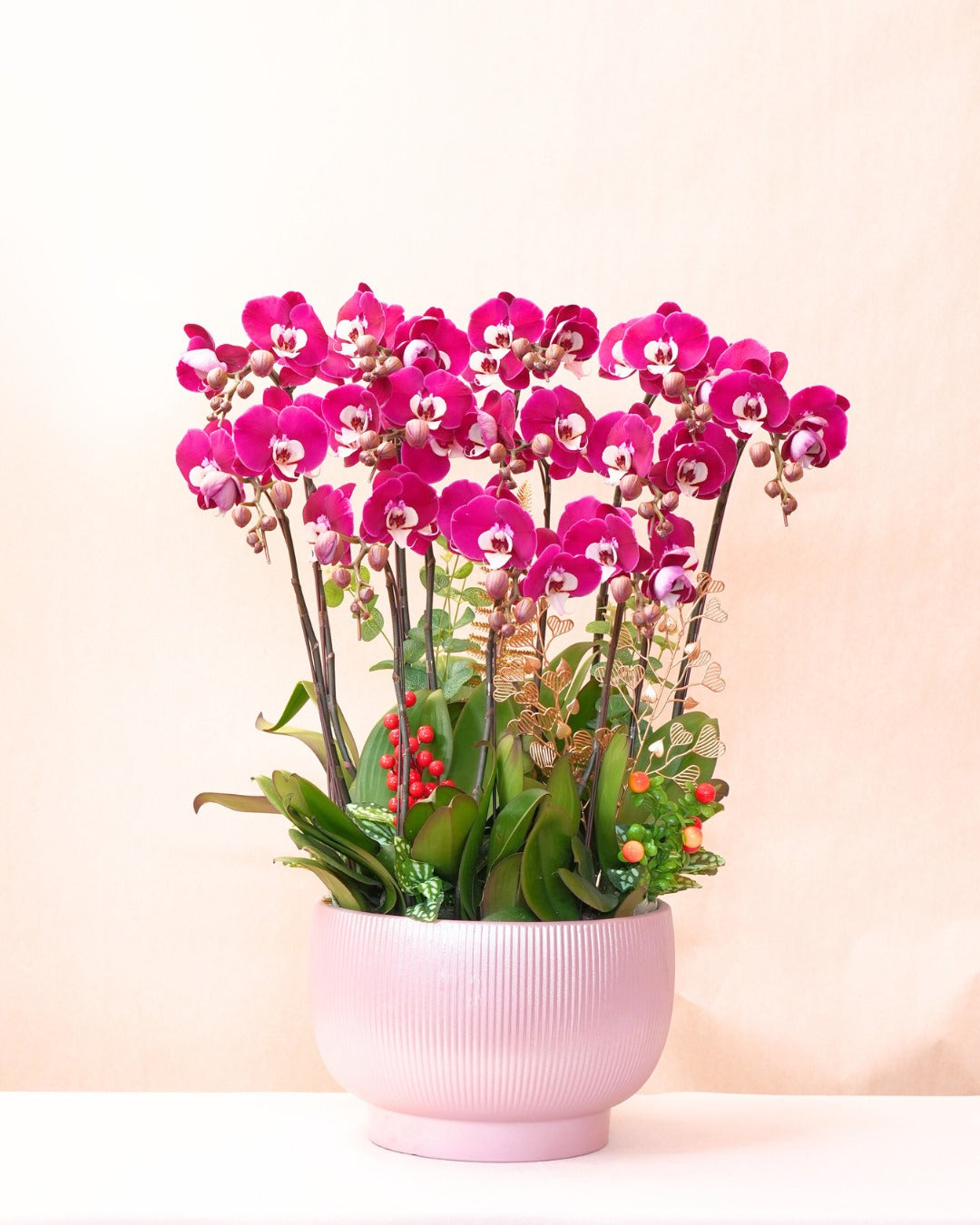 蘭花 (按枝計算)