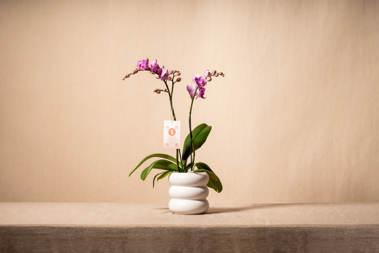 蘭花 (雙枝小花)